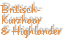 Britisch- Kurzhaar & Highlander